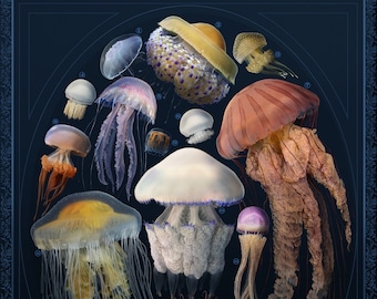 Jellyfish Diversity Art Print: Marine Biology Ocean Decor