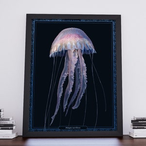 Mauve Stinger Jellyfish Print: Realistic Ocean Animal Art