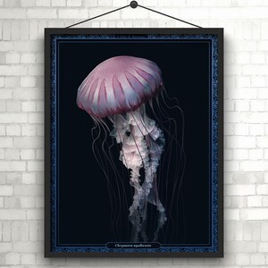 African Sea Nettle Jellyfish Print,  Jellyfish Drawing, Jellyfish Poster, Jellyfish Art, Animal Print, Ocean Decor, Animal Art, Nature Print