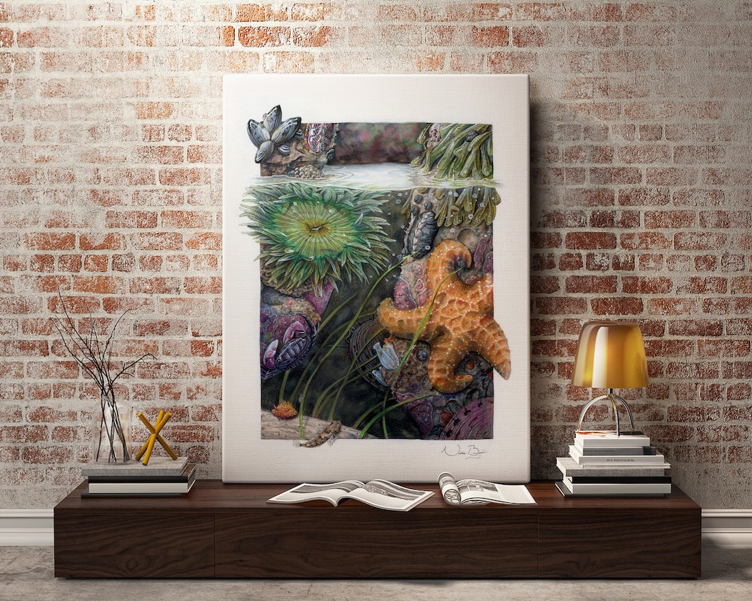 Tidepool Drawing: Sea Star, Ocean Wildlife Art Print - Etsy