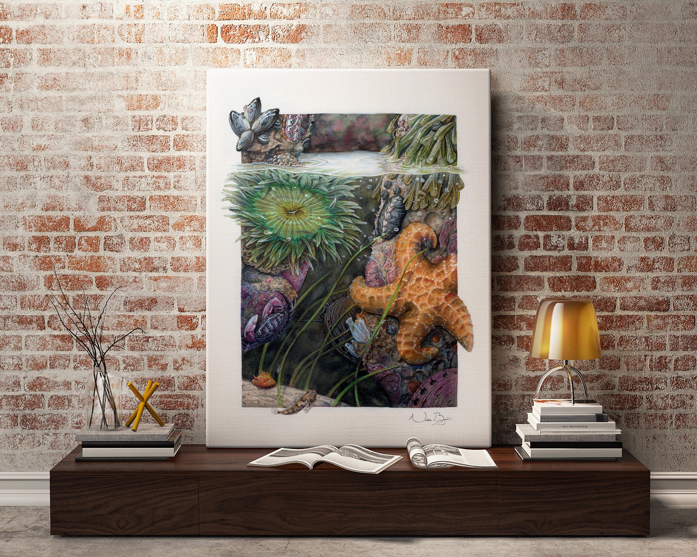 Tidepool Drawing: Sea Star, Ocean Wildlife Art Print