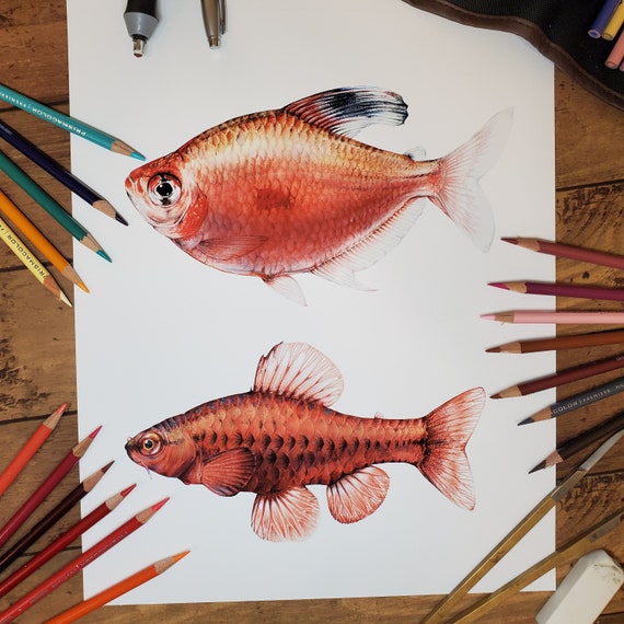 Realistic Pencil Drawing of a Swimming Fish