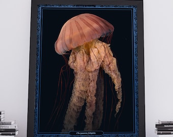 Giant Sea Nettle Jellyfish Print: Marine Biology Art