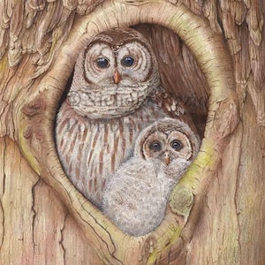 Bird Print, Owl Print, Woodland print, Owl Wall Art, Owl Poster, Owl Art, Animal Print, Owl Decor, Wildlife, Animal Art, Nature Print