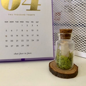 May include: A small glass bottle with a cork stopper filled with green moss and a white object. The bottle is sitting on a small wooden slice.