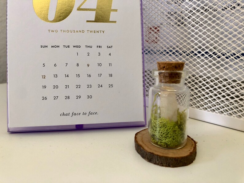 May include: A small glass bottle with a cork stopper filled with green moss and a white object. The bottle is sitting on a small wooden slice.