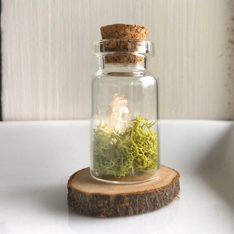 May include: A small glass bottle with a cork stopper filled with green moss and a clear crystal. The bottle is sitting on a wooden slice.