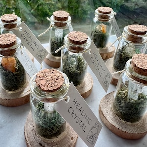 May include: A collection of small glass jars with cork lids, each containing a crystal and green moss. The jars are on small wooden rounds and have a white tag that reads "Healing Crystal".