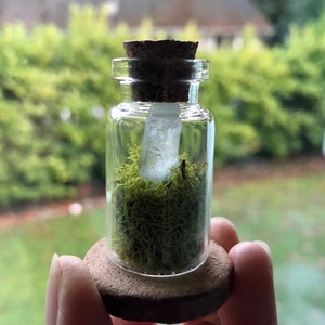 Mini Bottle Terrarium / Moss Terrarium / Glass Bottle Plant/ Raw Crystal Terrarium / Tiny Terrarium / Crystal Decor / Plant Party Favor