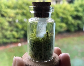 Mini Bottle Terrarium / Moss Terrarium / Glass Bottle Plant/ Raw Crystal Terrarium / Tiny Terrarium / Crystal Decor / Plant Party Favor