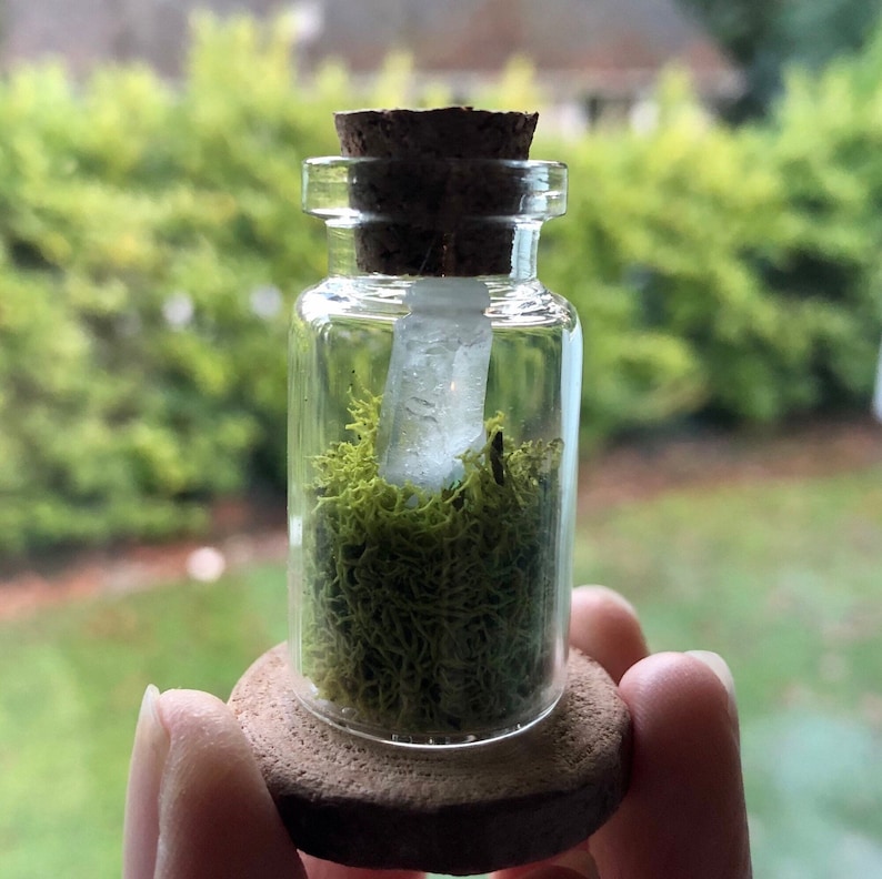 May include: A small glass bottle with a cork stopper filled with green moss and a clear crystal. The bottle is sitting on a wooden base.