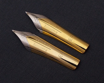 Juego de 2 puntas para pluma estilográfica Kanwrite n.° 6 Flex EF de 35 mm (TTF)