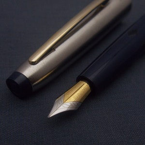 V’Sign Neo Piston Filler Füllfederhalter mit Kanwrite Semi-Flex Feder Blau