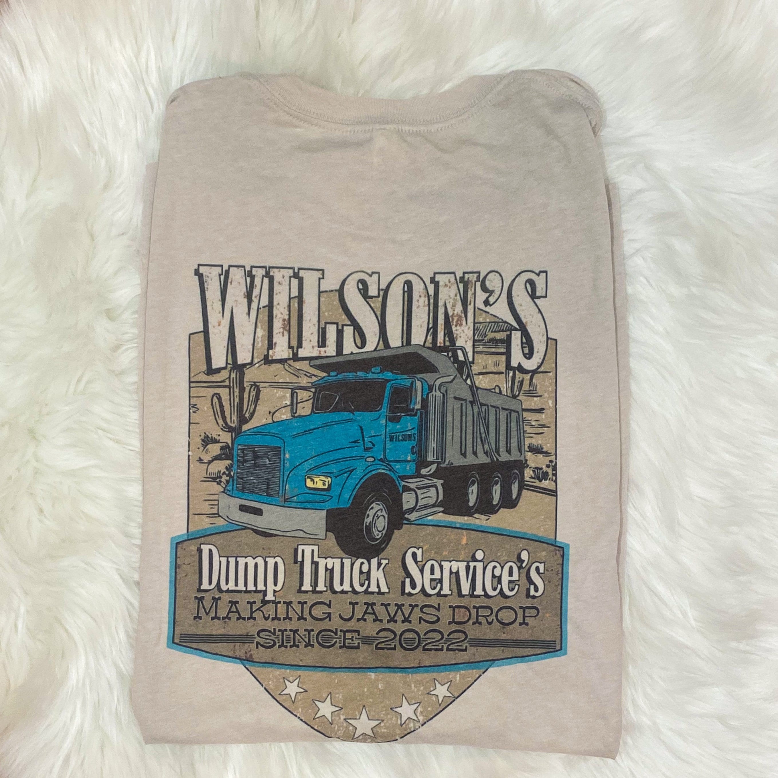 Country Music Shirt Lainey Wilson Dump Truck Services Shirt Etsy