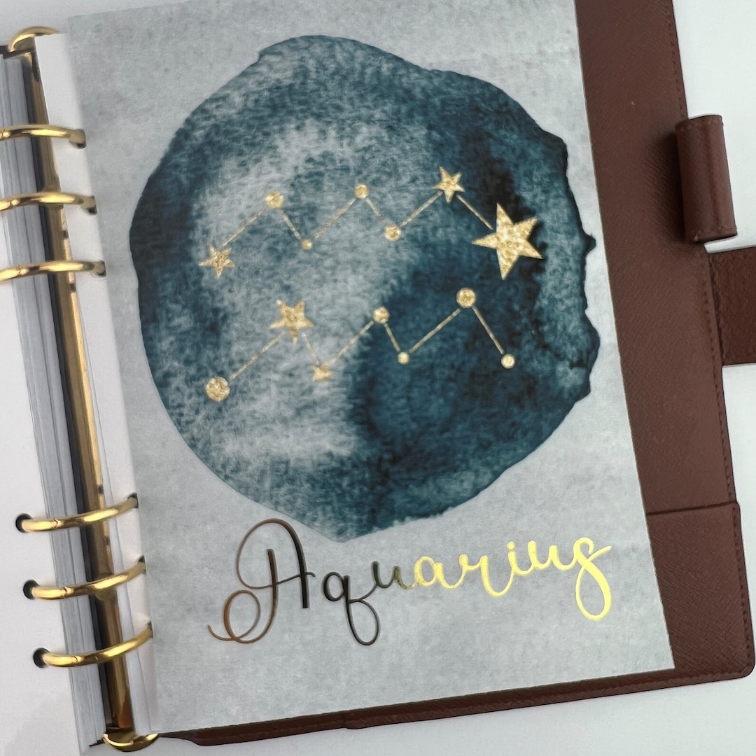 Foiled Planner Dashboard: Silver Pixie Dust, Zodiac Design - Etsy