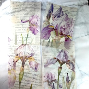 Purple IRIS floral VELLUM DASHBOARD Set  for Ring Planners , A6, B6, Personal, Personal Wide A5 A5 wide
