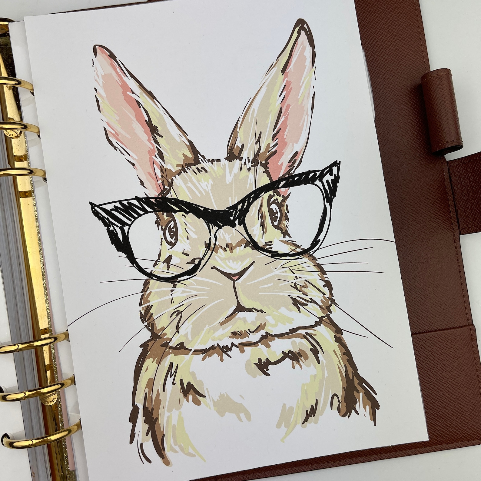 Planner Rabbet Easter Rabbit Planner Dashboard: Spring Ring Planner Insert - Etsy