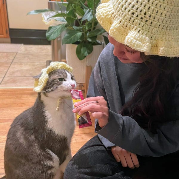 matching cat and owner bucket hat