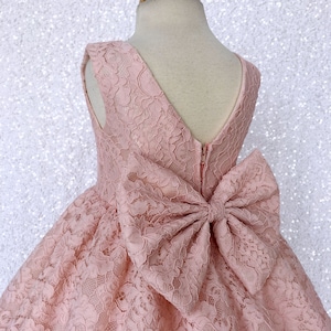 Sleeveless Wedding Chic Blush Pink French Lace Dress Bow Ceremony Flower Girl Junior Easter Spring Summer Holiday Baby Pageant Photoshoot