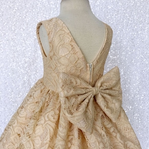 Graduation Wedding Champagne French Lace Dress Birthday Pageant Photoshoot Junior Toddler Flower Girl Bridesmaid Spring Summer Fall Winter