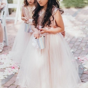 Formal Mini Sequin Sleeveless Rose Gold Blush Gown Junior Newborn Bridesmaid Flower Girl Pageant Recital Photoshoot Birthday Party 2 4 6 8