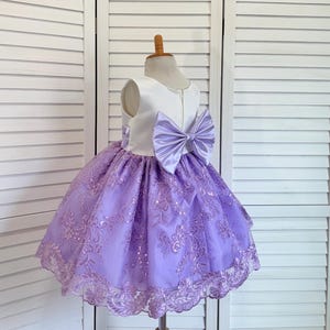 Lilac Floral Embroidery Spring Easter Pastel Flower Girl Bridesmaids Knee Length Birthday Princess Big Bow Photoshoot Pageant Toddler Junior