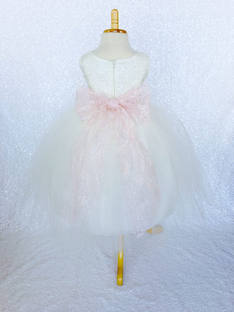 Séquence de sequins ivoire rose poudré dentelle tulle robe de demoiselle d'honneur mariage demoiselle d'honneur shabby chic bambin nourrisson nouveau-né rustique anniversaire vintage image 3