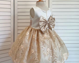 Champagne Flower Girl Dress: Ivory Bodice, Floral Embroidery