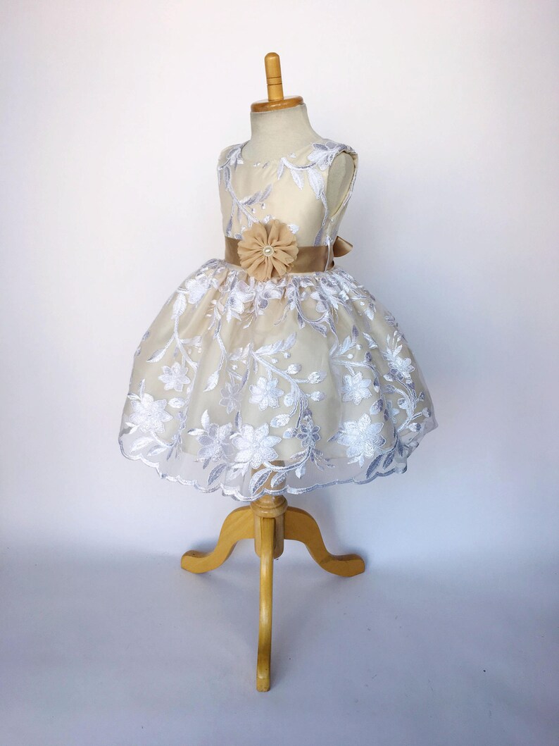 Fancy Country Chic White Mesh Embroidery Champagne Dress Flower Girl