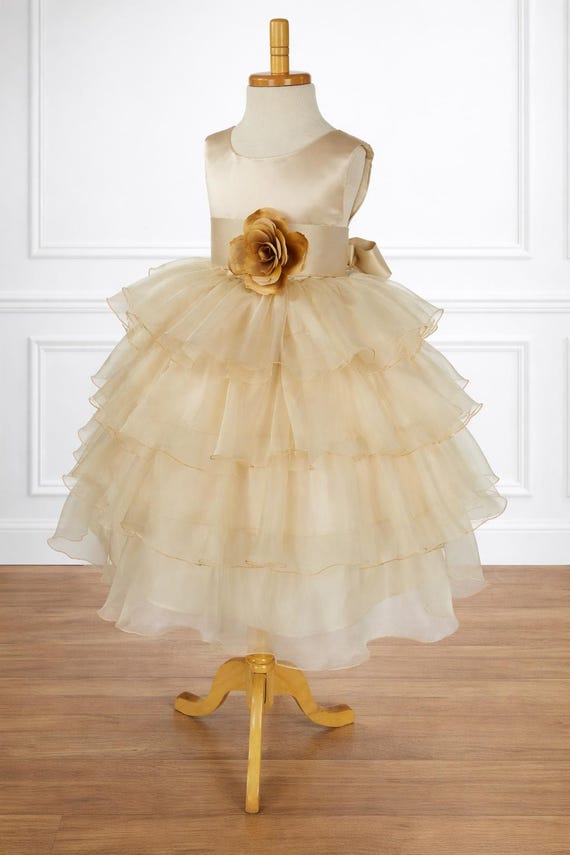 jr bridesmaid dresses champagne Alfred Sung Junior Bridesmaid Style JR544