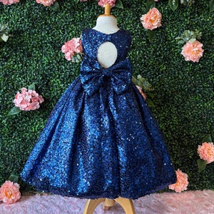 blue sparkly dress girl stairs TT_5825SKY - Sky Sequin with Sweetheart Neckline - Tip Top Kids - Flower Dresses 5 Years (120cm) 64 25.20 60 23.62 65 25.59 5 Elegant Baby Blue Sequin Party
