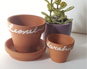 Terracotta Pot Place Cards, Succulent Party Favors, Plant Party Favors, Wedding Favors, Place Cards, Boho Glam Place Cards