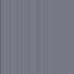 May include: A seamless pattern of alternating black and white vertical stripes.