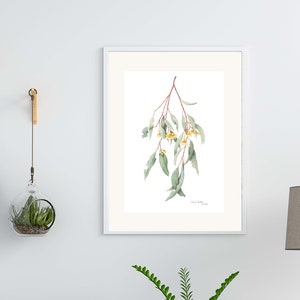 Eucalyptus sideroxylon (Mugga Ironbark) A4 or A3 print, Australian native plant, Australian drawings, Australian gift