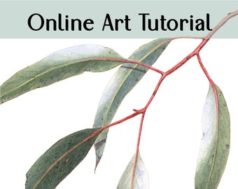 Botanical art tutorial online, Watercolour painting course, Eucalyptus leaf botanical art tutorial