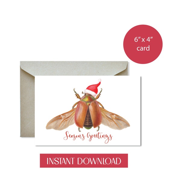 Australian Christmas Beetle Printable Card, Seasons Greeting Card with Australian Christmas Beetle, Australian Insect, Instant Download