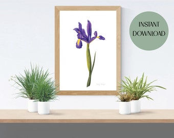 Dutch Iris Watercolor Print, Floral Botanical Wall Art (Digital Download)