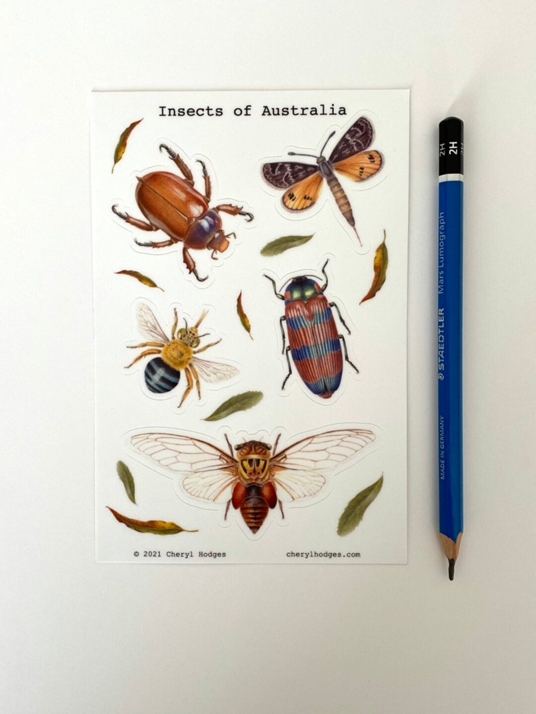 Australian Native Insects Sticker Sheet, Laptop Stickers, Insect Lover ...