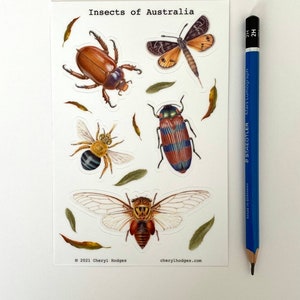 Australian Native Insects Sticker Sheet, Watercolor Art