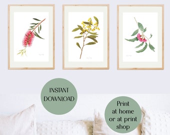 Australische inheemse bloemenprints, aquarel wilde bloemenkunst (digitale download)