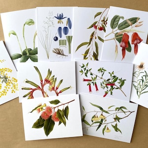Set mit 10 Grußkarten - Australische Pflanzen, Eukalyptus, Wattle, Correa, australische Aquarellmalerei, Geschenk aus Australien, Souvenir