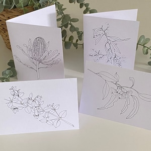 Set 4 Colouring Cards - Australian native plants, Banksia, Eucalyptus, Wattle, Correa - botanical drawings of Australian native plants