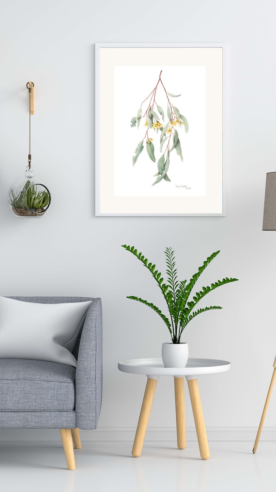 Mugga Ironbark Print, Australian Native Plant Watercolor Art