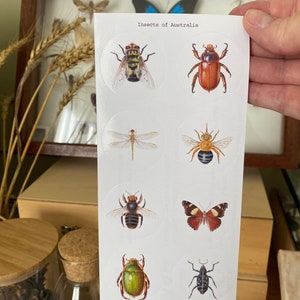 Insekten aus Australien Sticker Bogen. Entomologie Aufkleber, australische Ureinwohner Insektenaufkleber, 8 Insektenetiketten, Planer Aufkleber