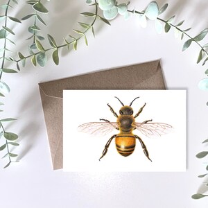 Honey Bee card - Greeting Card, insect painting