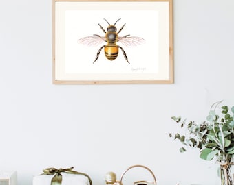 Honigbiene - Apis mellifera Druck, Insektenliebhaber Geschenk, Bienenliebhaber Geschenk