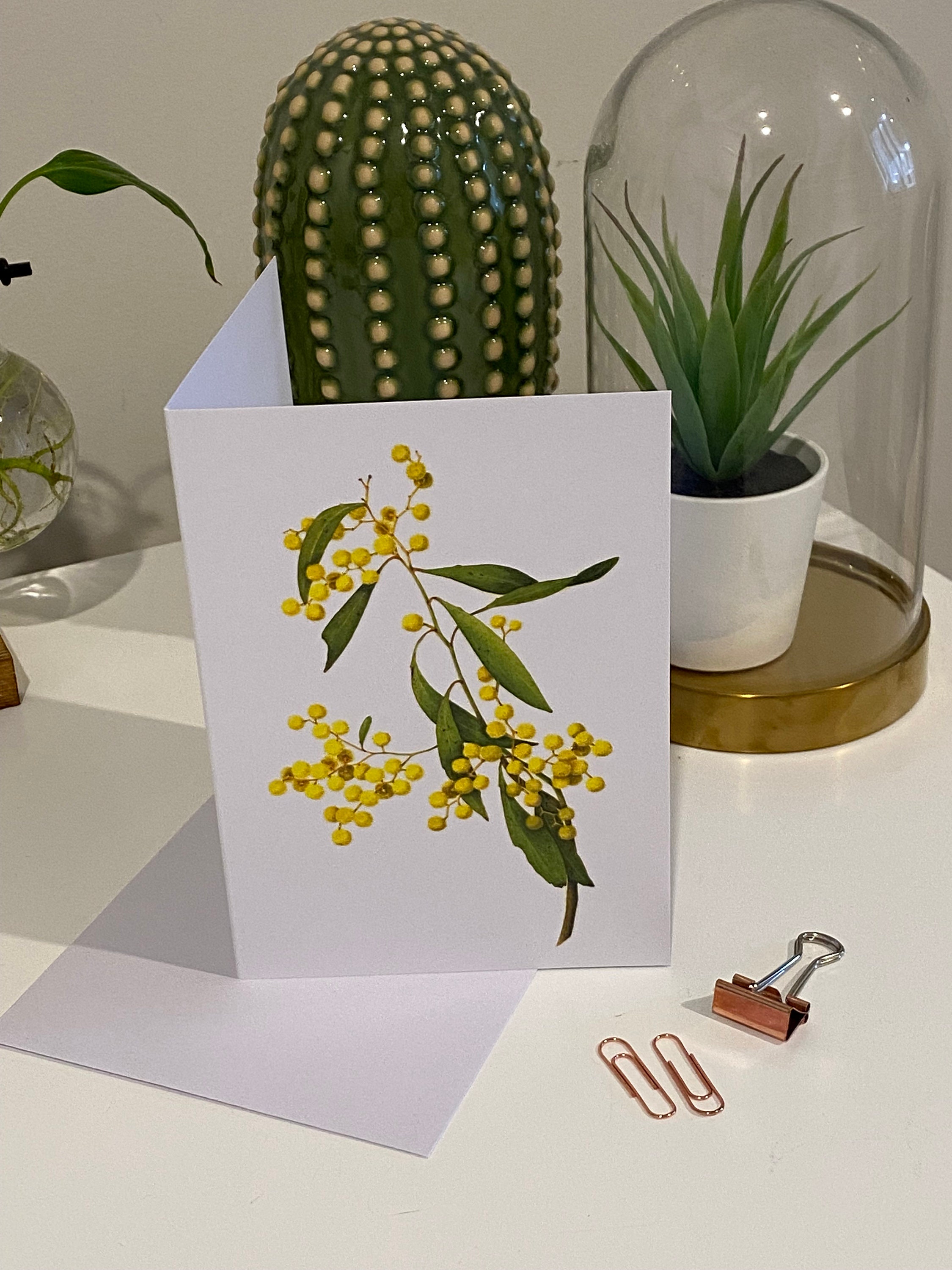 Golden Wattle Australian Greeting Card Wattle Illustration Etsy