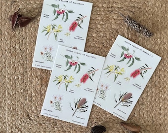 Australian Wildflower Sticker Sheet Set, Native Plant Decals