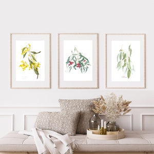 Wildflower wall decor, set of 3 Australian botanical watercolour prints A4 or A3 Wattle Acacia, Eucalyptus Australian native prints image 1