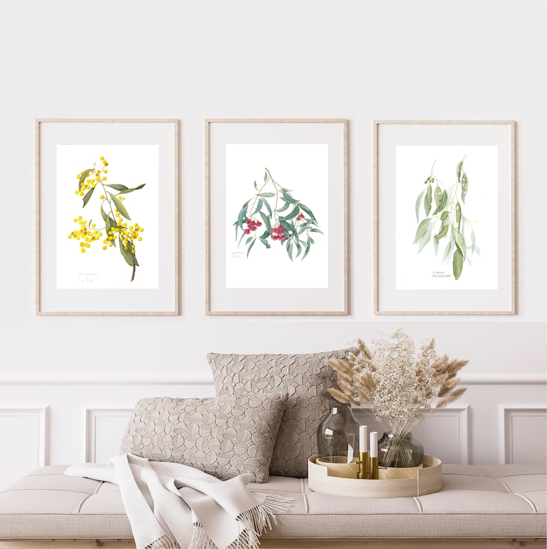 Wildflower wall decor, set of 3 Australian botanical watercolour prints A4 or A3 Wattle Acacia, Eucalyptus Australian native prints image 1